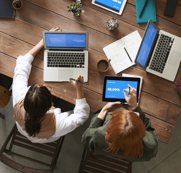 custom website development